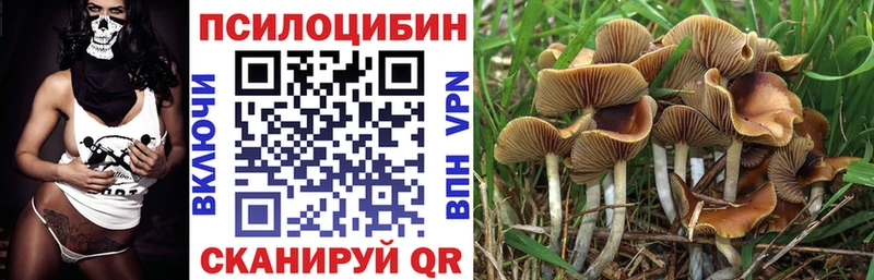 Псилоцибиновые грибы Psilocybine cubensis  хочу наркоту  Балаково 